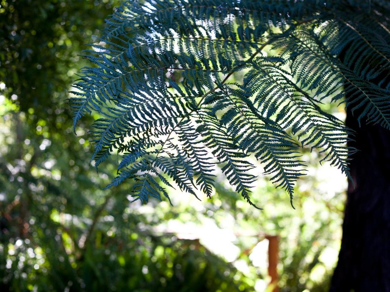 Andelomi Nature'S Rest Stormsrivier Exteriér fotografie